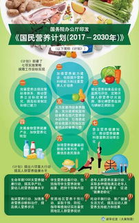 一圖讀懂國(guó)家國(guó)民營(yíng)養(yǎng)計(jì)劃與健康咨詢服務(wù)